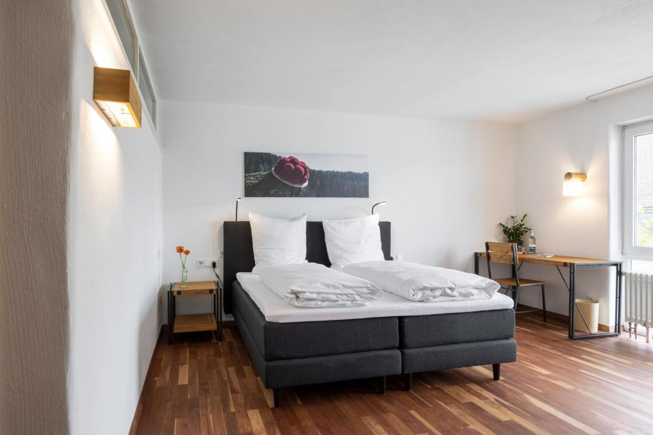 Bike- Und Ferienhotel Freiburg Merzhausen Eksteriør bilde